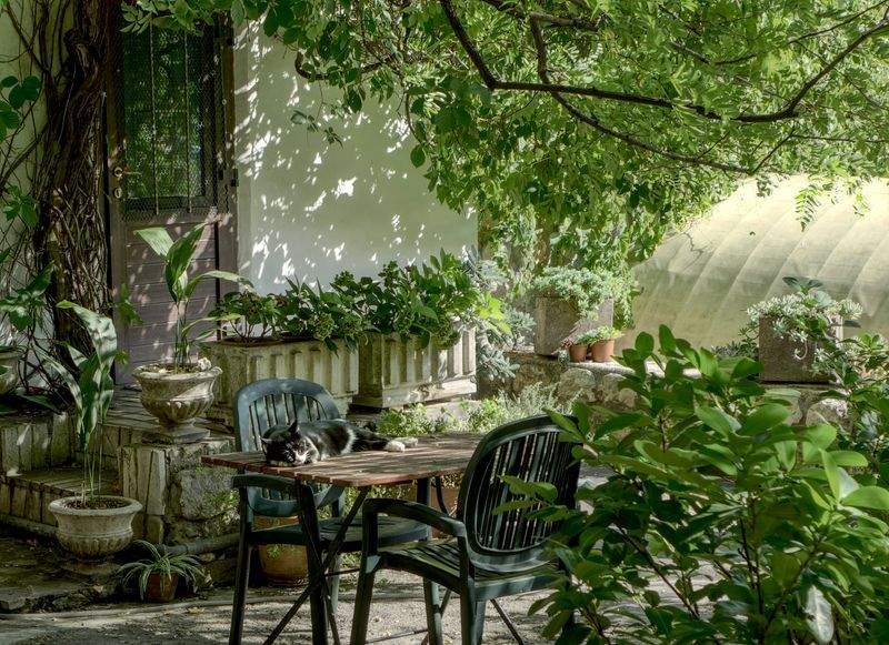 Ideas de paisajismo para patios pequeños