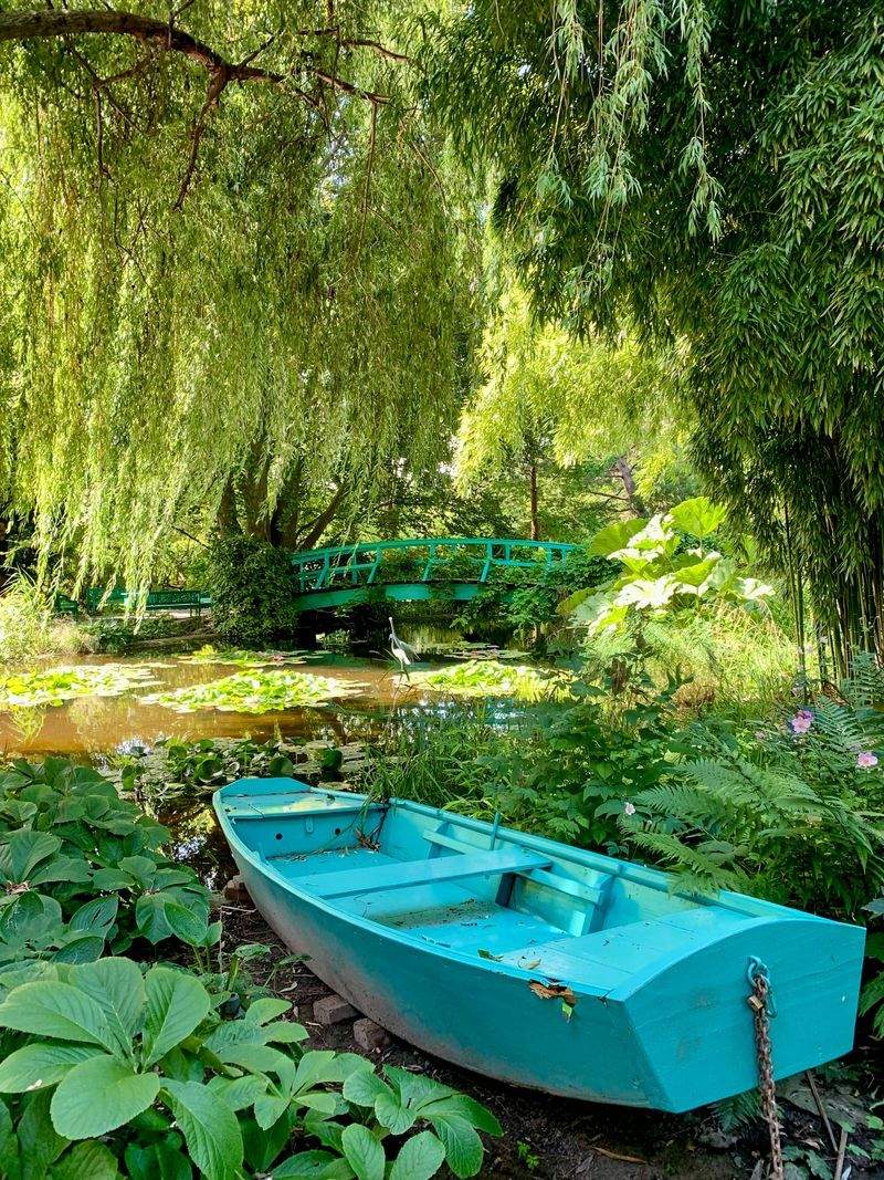 VerdeNativo Jardinería y Paisajismo 9