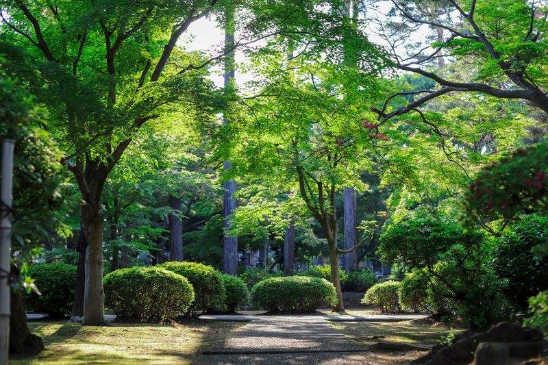 VerdeNativo Jardinería y Paisajismo
