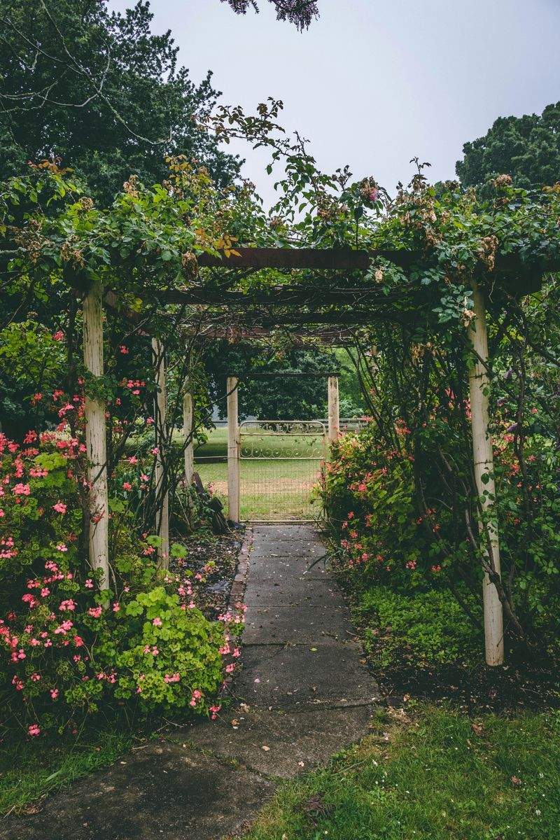 Mantenimiento de jardines